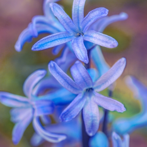 Blue Star