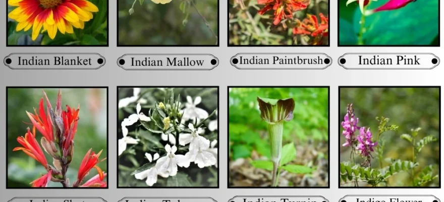 Flowers That Start with I